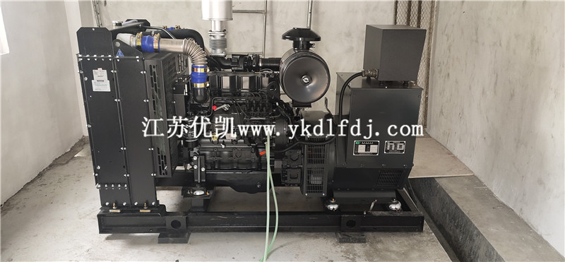 2021年1月26日，100KW上柴發(fā)電機(jī)組交付廣西防城港某養(yǎng)豬場使用